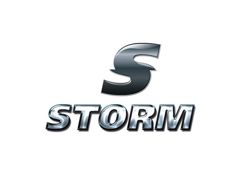 Логотип Storm
